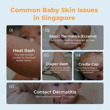[FG] Baebear Trial Kit Wash & Shampoo + Lotion, 20ml