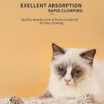 TaoTaoPets Cat Litter Charcoal, 6L